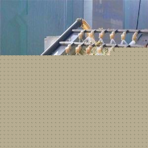 洋槐花市場綜述 價格、品牌廠家與預包裝食品批發(fā)指南